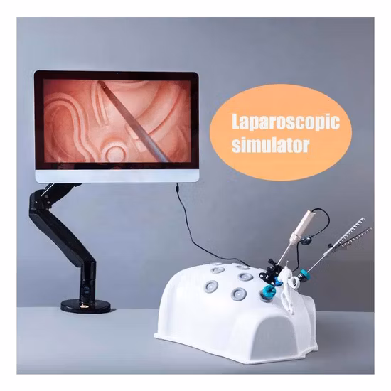 strumenti di addestramento per simulatore corporeo di manipolazione medica laparoscopica cliniva